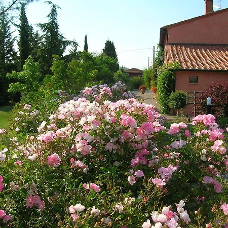 Sant'Alberto Campiglia dʼOrcia المظهر الخارجي الصورة