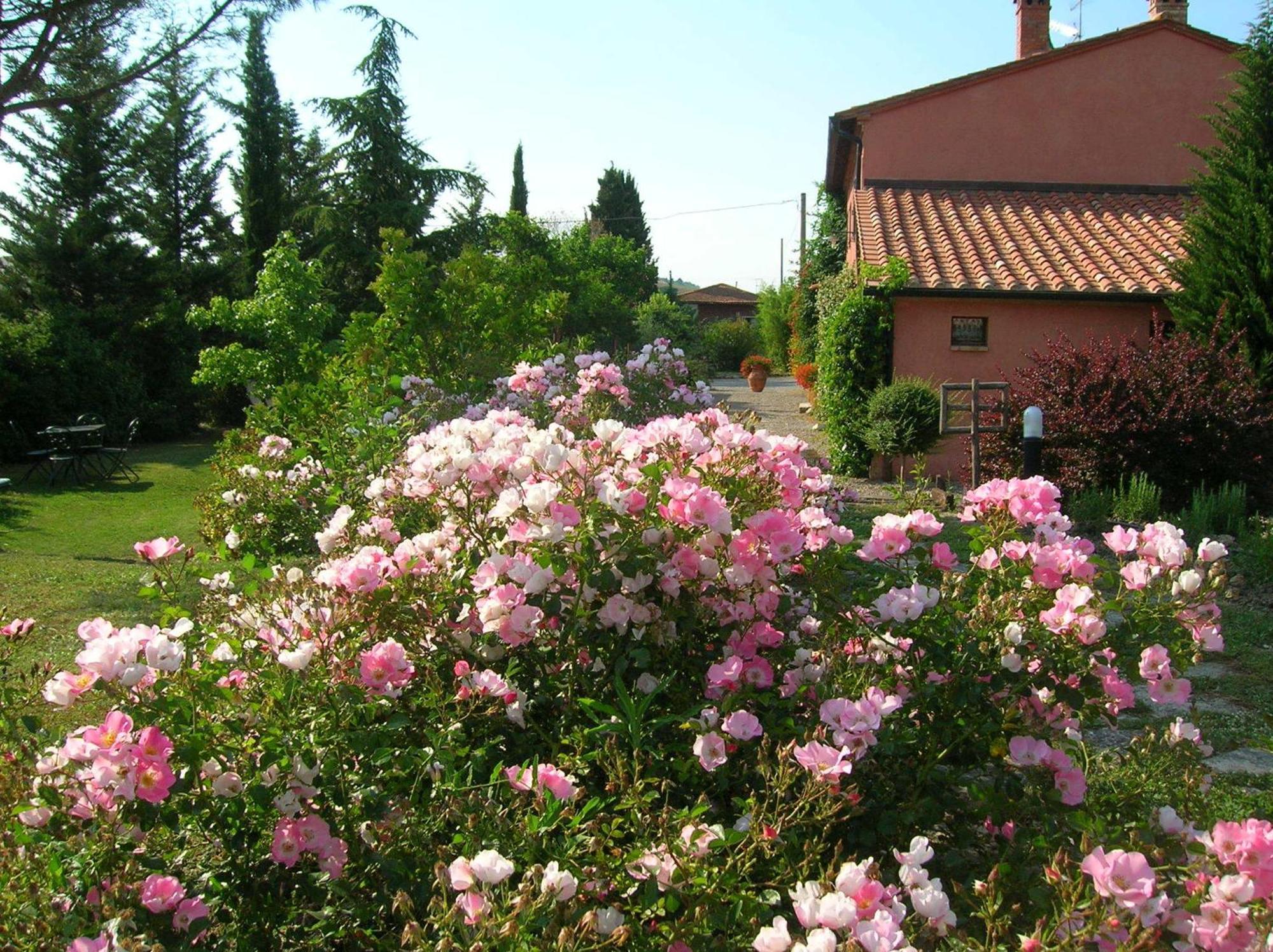 Sant'Alberto Campiglia dʼOrcia المظهر الخارجي الصورة